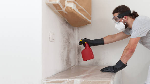 Professional Bathroom Mold Removal technician working in Demarest, NJ