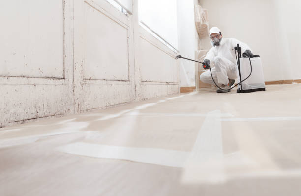 24/7 Emergency Bathroom Mold Removal experts in Demarest, NJ